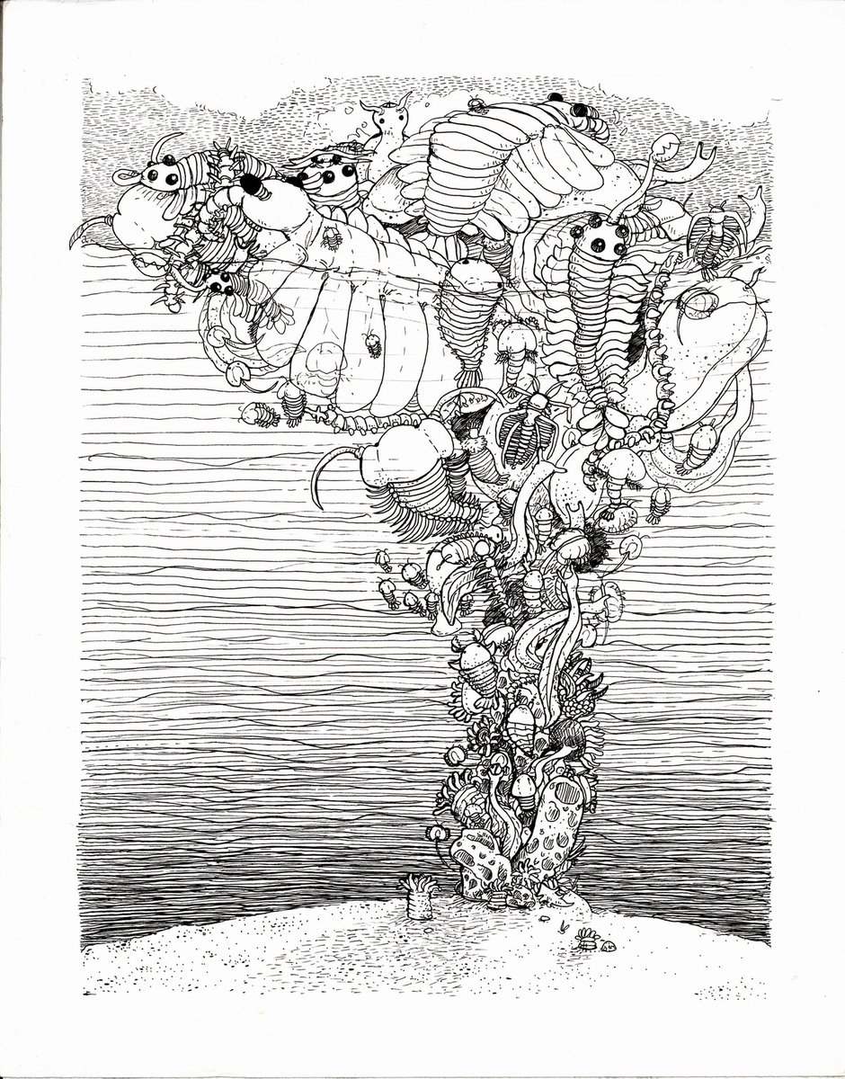 7 years ago for college I did a cool Cambrian explosion themed line art piece and I just want everyone to know I have loved them all before it was "cool". also check out my related extinction piece about passenger pigeons!! my wrist aches just looking at them lmao