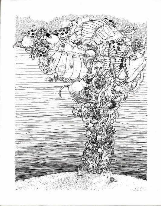 7 years ago for college I did a cool Cambrian explosion themed line art piece and I just want everyone to know I have loved them all before it was "cool". also check out my related extinction piece about passenger pigeons!! my wrist aches just looking at them lmao 