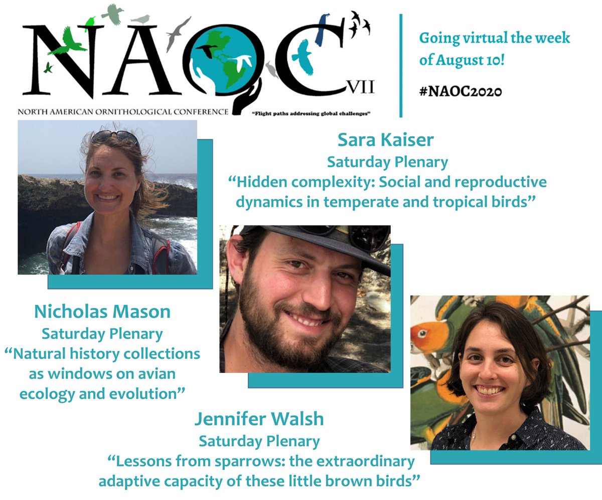 Our final day of the conference will bring you 3 early career all-stars for the plenary! Be sure to tune in at 12pm eastern Saturday morning!!!
