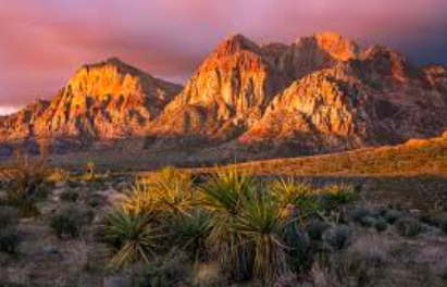 8/ An interesting read throughout, here is the craziest thing I learned from the book: In 1963 federal officials considered using *22 nuclear bombs* to clear passage for I-40 in California's Bristol Mountains. Seriously.