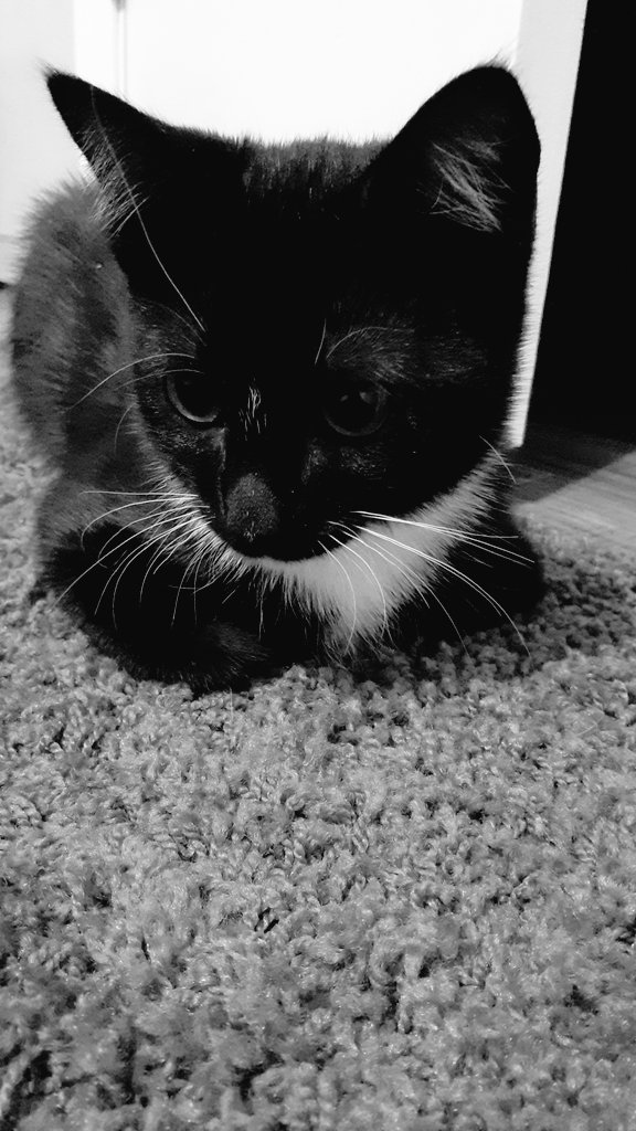 My baby, Sebastian. ♡ isn't he so cute? 🥰