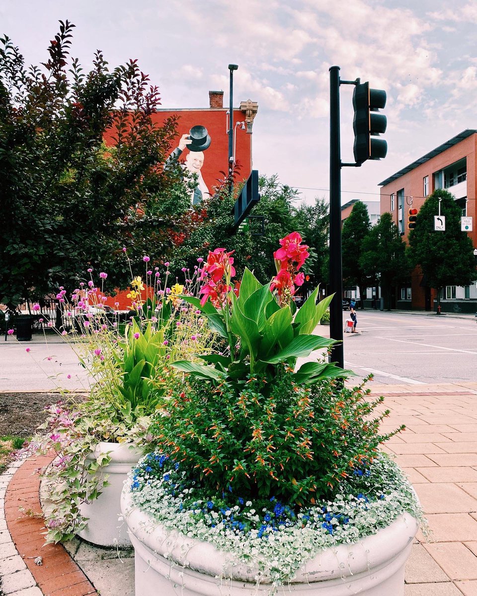 Team Zissou or Team Tarbell?
