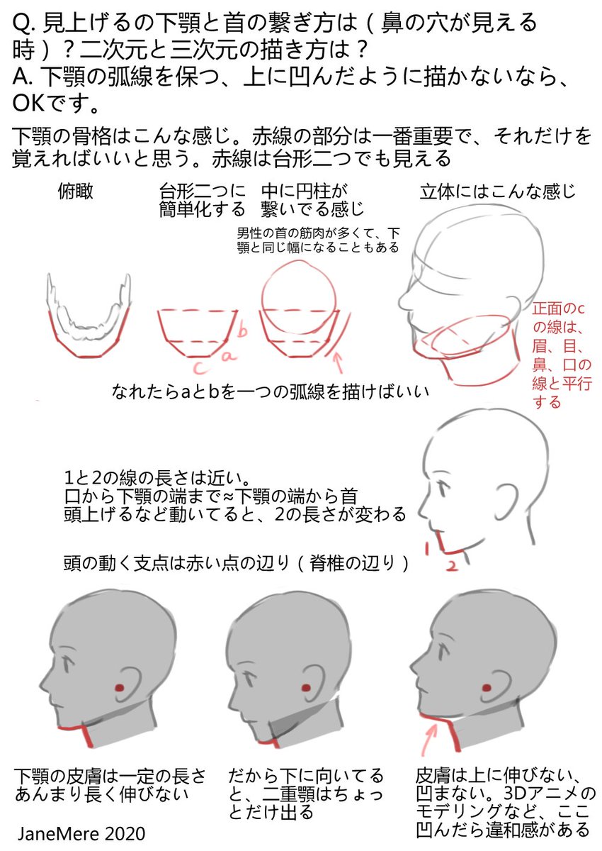 Q&A. 見上げる時の下顎と首の描き方 