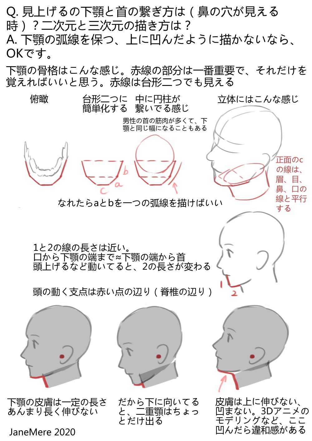 Janemere Q Amp A 見上げる時の下顎と首の描き方 T Co Ljevsh2eed Twitter Janemere Q Amp A 見上げる時の下顎と首の描き方 T Co Ljevsh2eed Twitter