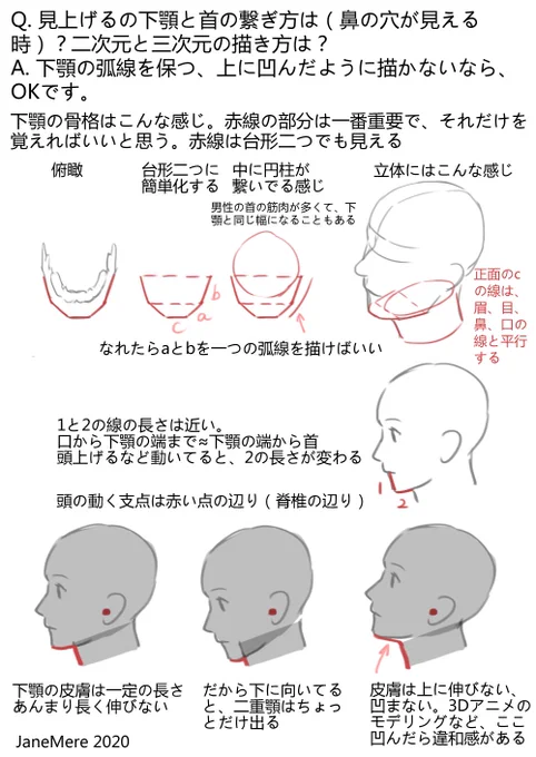 Q&amp;A. 見上げる時の下顎と首の描き方 
