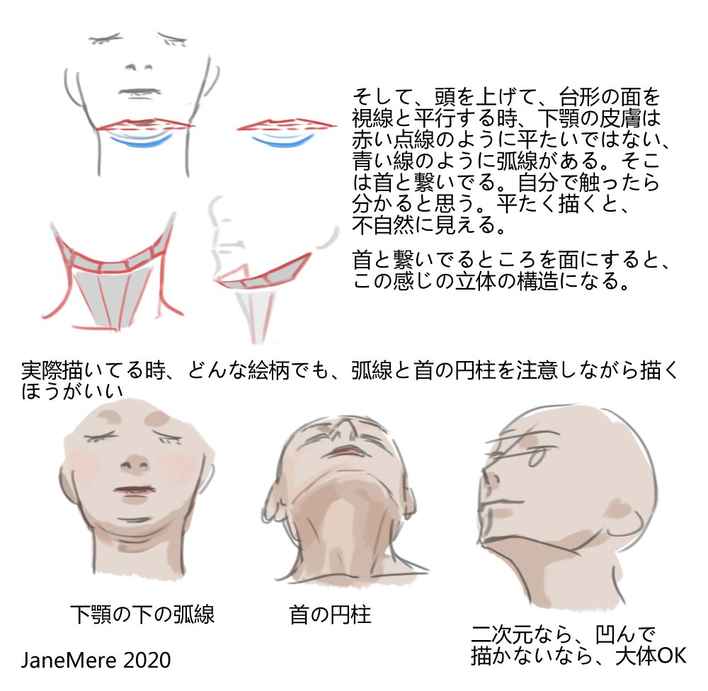 Q&A. 見上げる時の下顎と首の描き方 