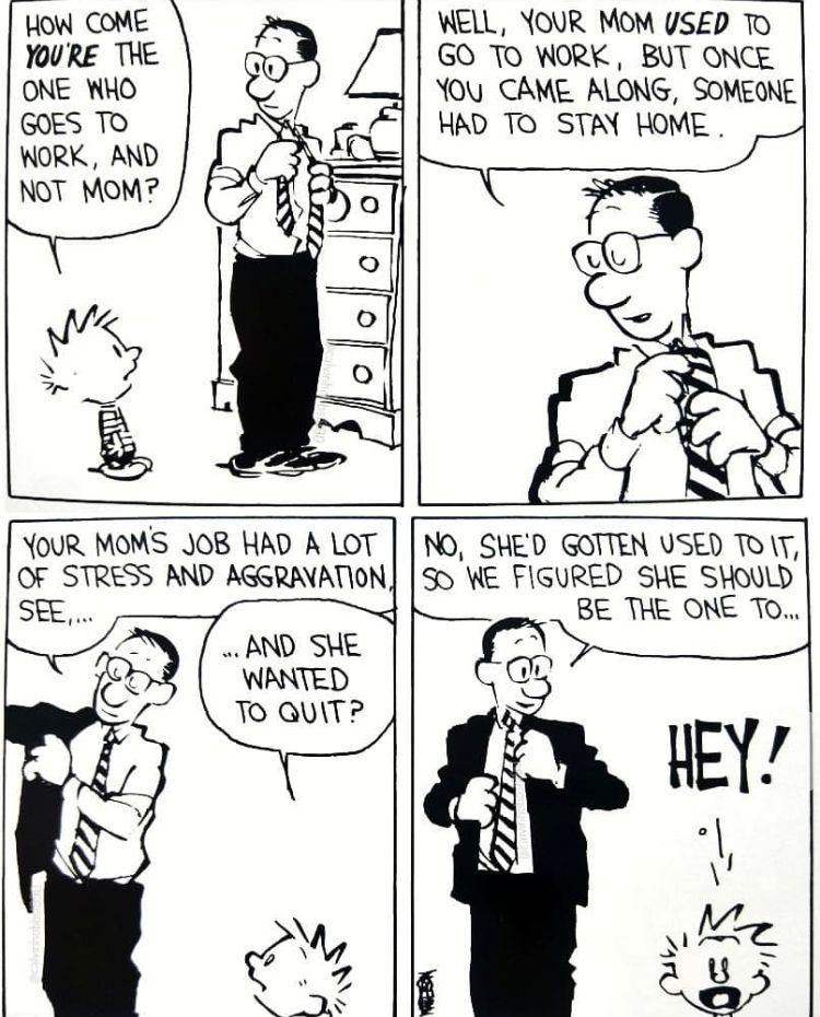 Calvinn_Hobbes's tweet photo. LOL #calvinandhobbes https://t.co/7JgIyi6vHa