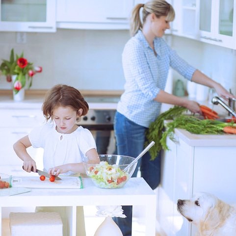 PShellharbour's tweet image. Call 0499 074 123 for a free quote or visit pestcontrolshellharbour.com