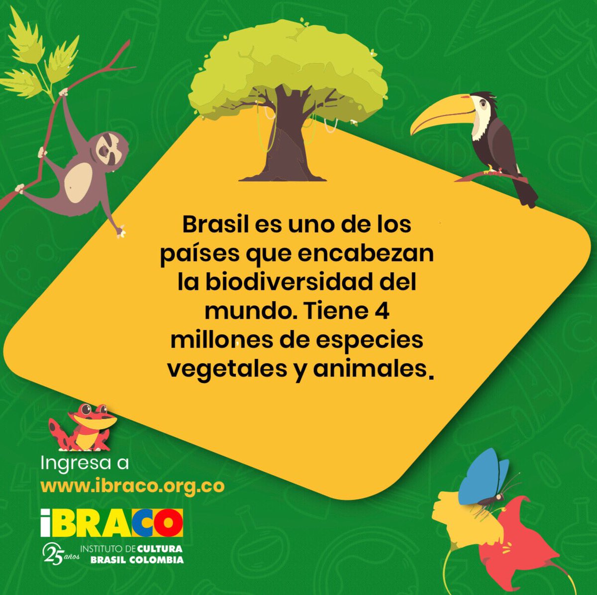 IBRACOCultura's tweet photo. Aprende más de Brasil y su cultura al mismo tiempo que refuerzas tu portugués. Matriculate ya en nuestro curso conversacional. más información ingresa al siguiente link https://t.co/02DRcXTLIG. 🇧🇷📚💚 #Ibraco #ibracoficaemcasa #ibracocultura #datoscuriosos https://t.co/02POKON3T5