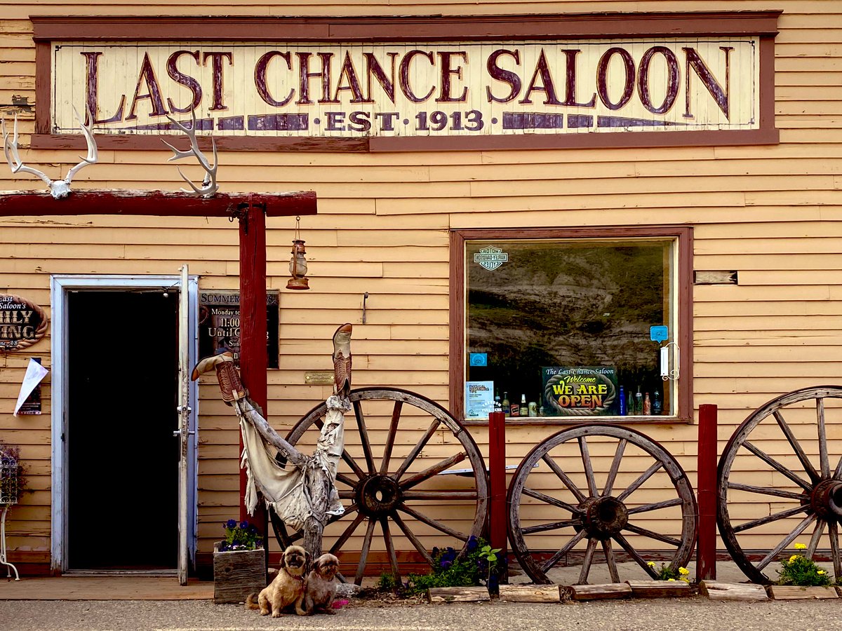 DanielleKellett's tweet photo. #twodogsandasaloon @LCSaloon https://t.co/C85gPAQWgV