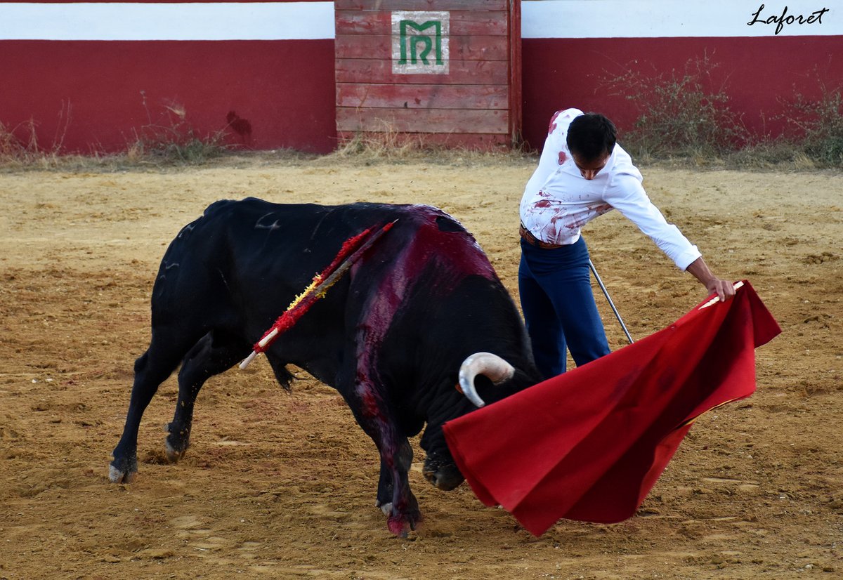 ElMuletazo's tweet photo. #Tentaderos #CampoBravo #Toros #Murcia
FILIBERTO EMBRIAGA DE TORERÍA MURCIANA “LA LOSICA”
🔹 El torero de Calasparra, en absoluta plenitud, está llamado a renovar el escalafón.
➡️ https://t.co/c7ld33NjKQ https://t.co/rEAnP79Zeb