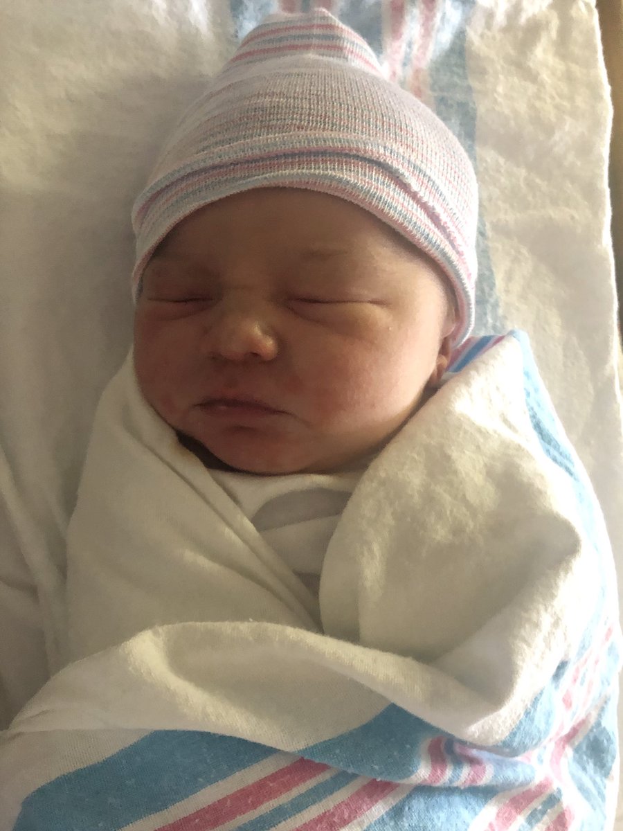 Paige Evans tweet media