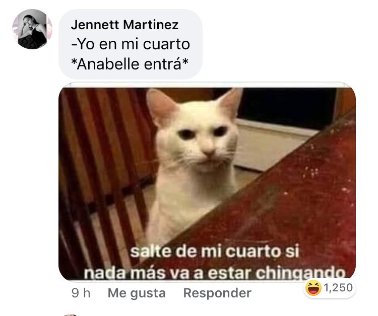 Meme Del Gatito Que Dice Duren : Duren Gatito | Giblrisbox Wallpaper