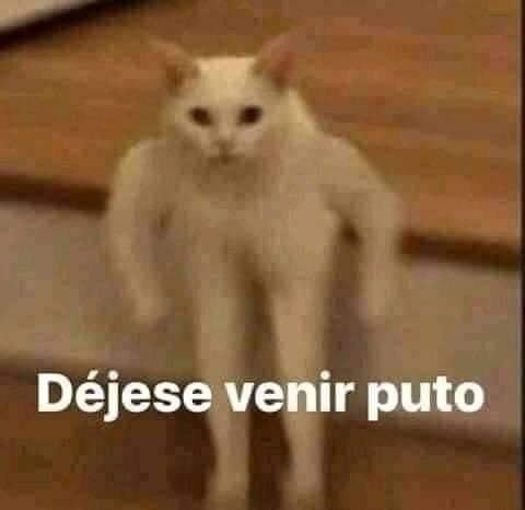 Fuckmeme6's tweet photo. @Anabell57678339 https://t.co/IQpQOmKh0o