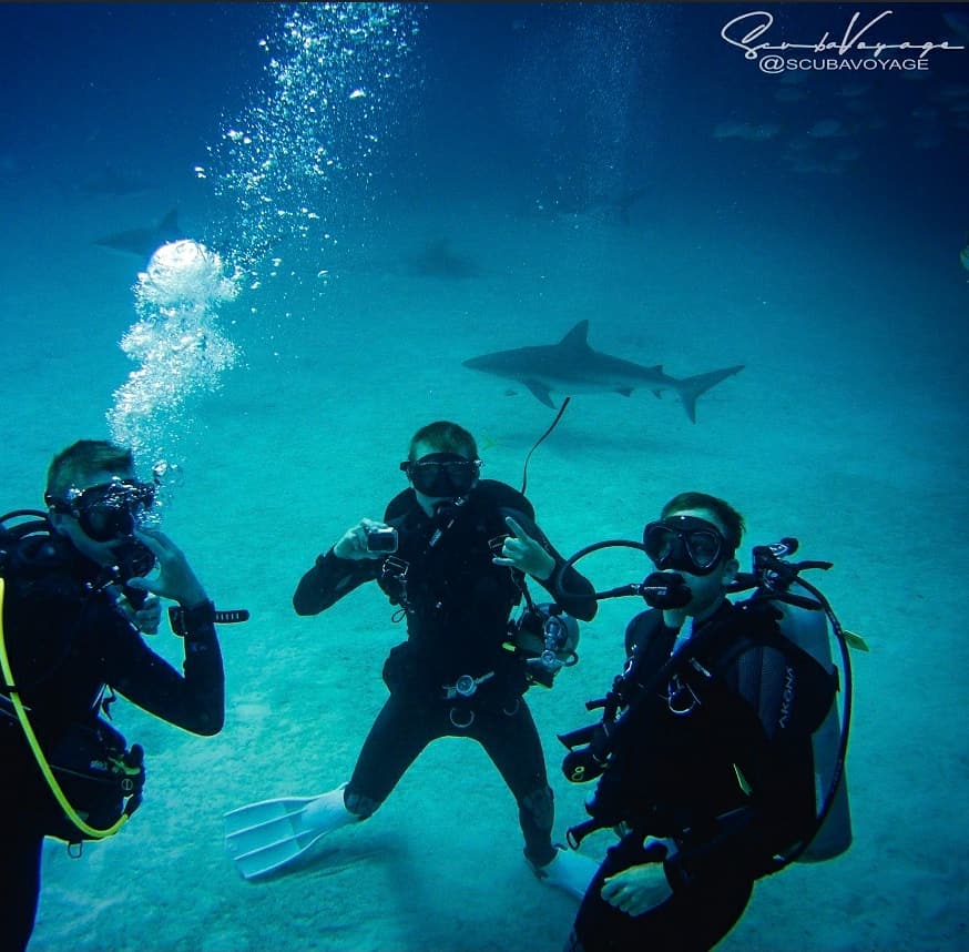 diverbetic's tweet photo. I hope everyone has been having a great Sharkweek! Here's a little flashback to last year and the amazing time we had with these stunning creatures! Remember to protect sharks as they are of great value to our marine ecosystems. #sharkweek #sharkweek2020 #sharks #scuba #sharkdive https://t.co/J936zw1FTC