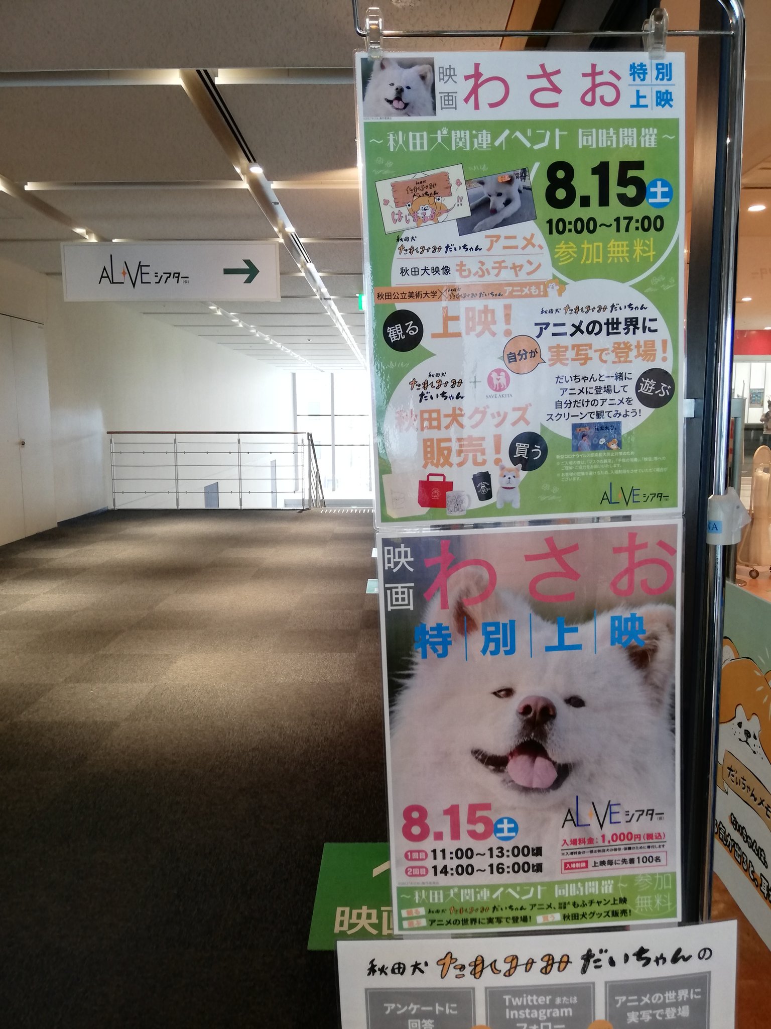 らっしー 秋田ブロガー イラストレーター Findomアンバサダー Alveシアターなうです 秋田犬のアニメに参加出来るし 直ぐ観れます クイズやってお菓子ももらえるし 秋田犬グッズも販売してるし ӧvӧ 秋田犬づくしで最高ですよ イベント17時 らっしー 秋田ブロガー イラストレーター Findomアンバサダー Alveシアターなうです 秋田犬のアニメに参加出来るし 直ぐ観れます クイズやってお菓子ももらえるし 秋田犬グッズも販売してるし ӧvӧ 秋田犬づくしで最高ですよ イベント17時