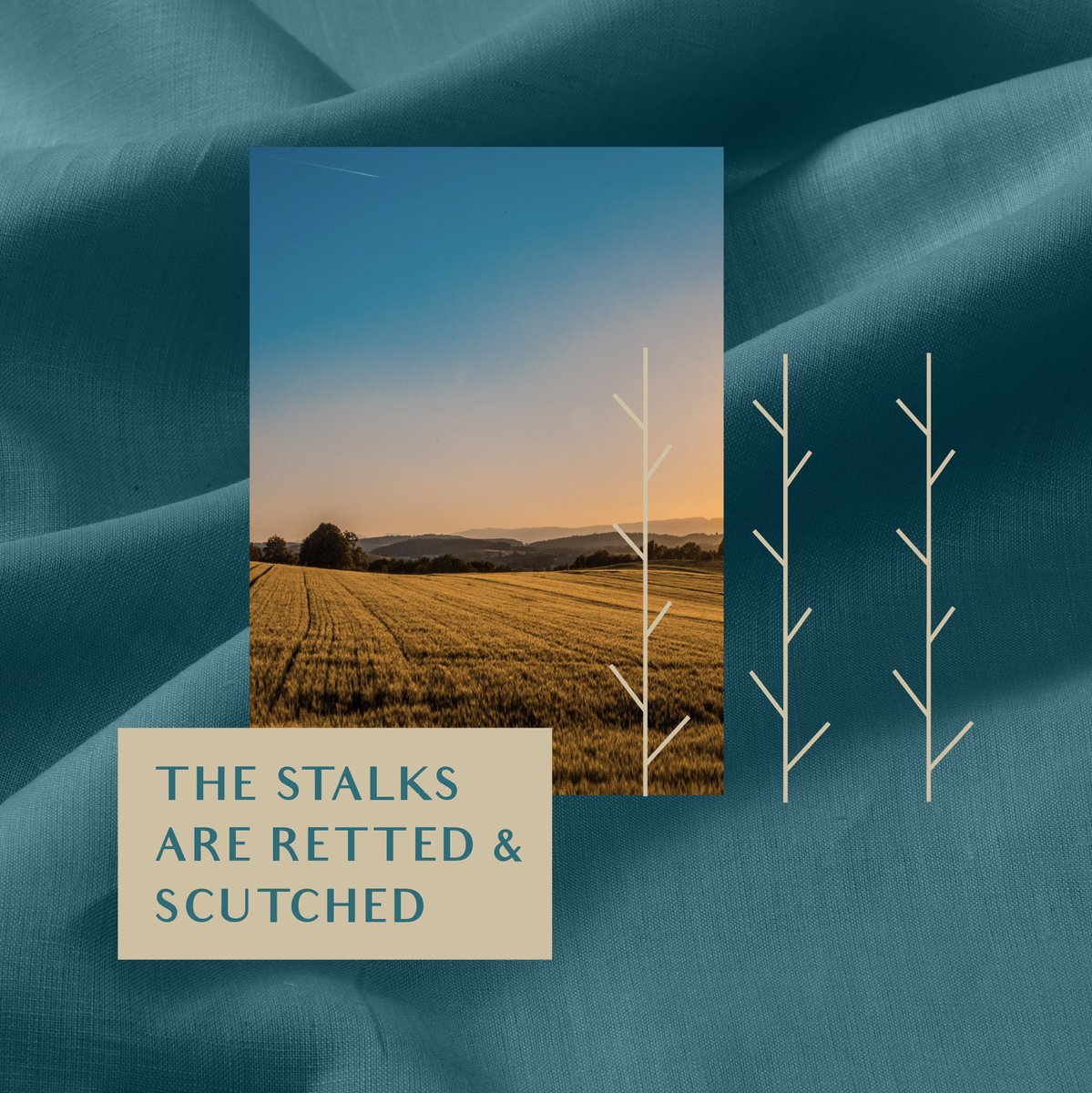 LinenClub's tweet photo. The flax stalk and flower in our logo symbolise the origin of linen. They represent our passion for linen, and our authenticity and expertise in creating a fabric that truly stands out.

#LinenClub #PassionateLikeYou #Flax #Origin #LogoStory #LinenLifestyle #LinenLife https://t.co/oZMPS4SQcY