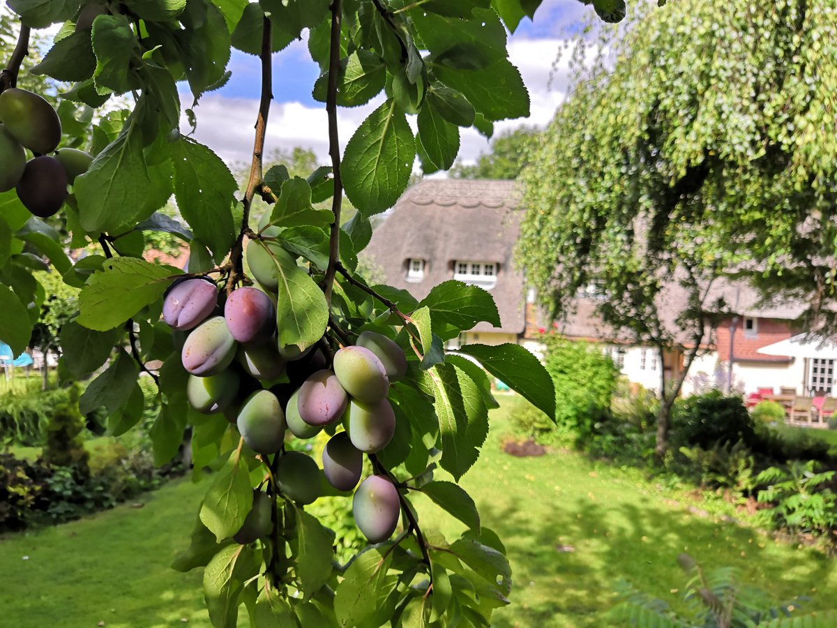 Inkpen Village (@inkpenvillage) on Twitter photo 