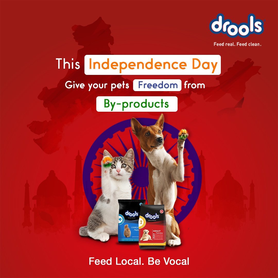 DroolsIndia's tweet photo. Our motto, every pet deserves REAL nutrition for their growth and development! ✅

So this #IndependenceDay 🇮🇳 pick real goodness for your furry friends and give them freedom for harmful by-products. #FeedLocalBeVocal 💡
#DroolsIndia  #FeedRealFeedClean https://t.co/3FosPRB5yf
