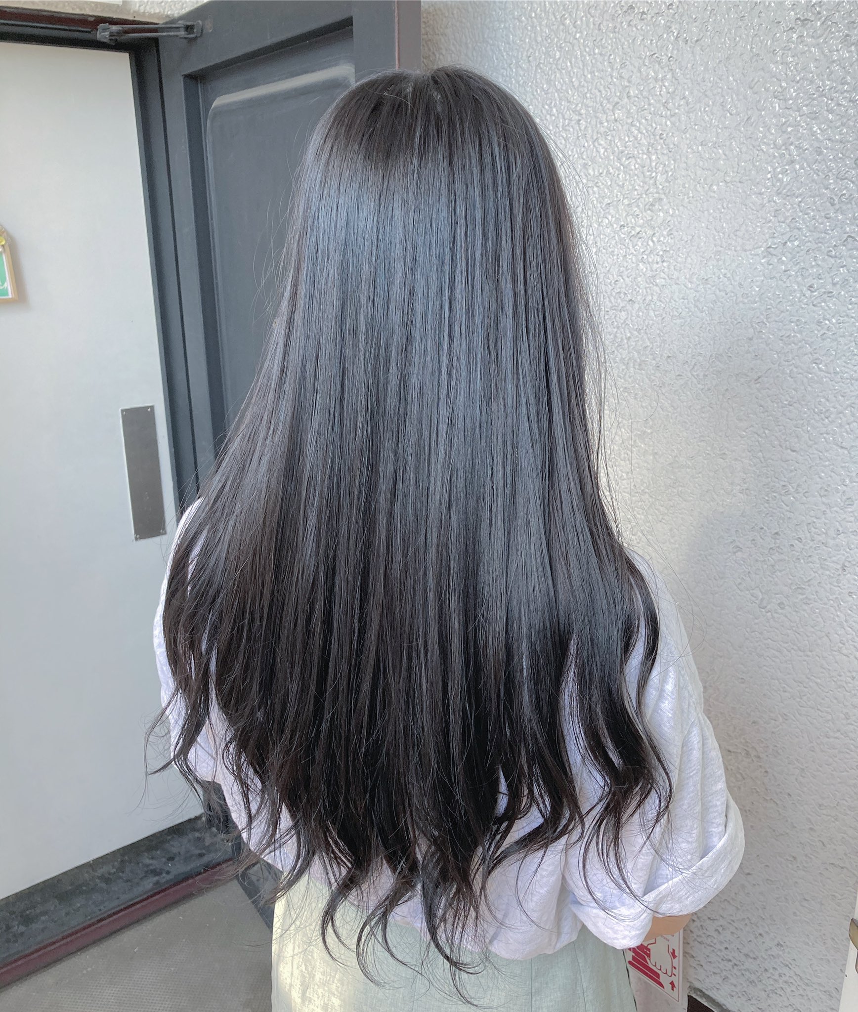 川畑晋也 原宿 美容師 ハイトーンヘアー グレーアッシュカラー ブリーチなしでグレーアッシュに 寒色系おすすめです 場所は原宿竹下通り ご予約はdmまたはリプ ラインにて承ります Line Shinya5 原宿 竹下通り 派手髪 ダブルカラー インナー