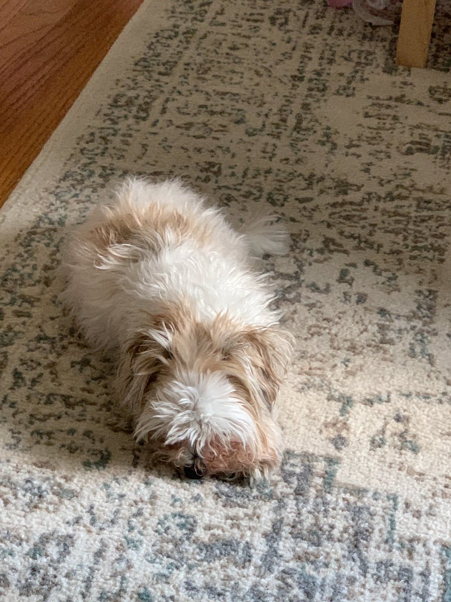 Brad Sams tweet media