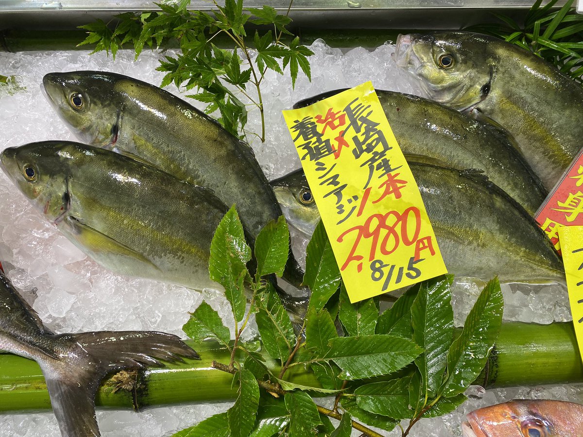 マリンセンターおさかな村 公式 目指せ10 000フォロワー ᐛ ピッチピチのシマアジです お盆相場にはなりますが朝どれした新鮮なシマアジとなってます 焼いても揚げても煮てもよし 色んな食べ方があって面白いですね おさかな村 唐津