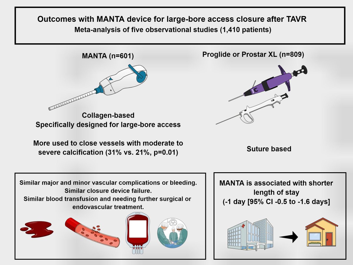 MichaelMegalyMD's tweet image. In our study, #MANTA was used in more calcified vessels in large bore access for #TAVR but had similar safety and efficacy as #Proglide and #ProstarXL @crfshj 
bit.ly/3kL6eCx
#cardiotwitter #ACCFIT #CardioED #TAVI #SHD