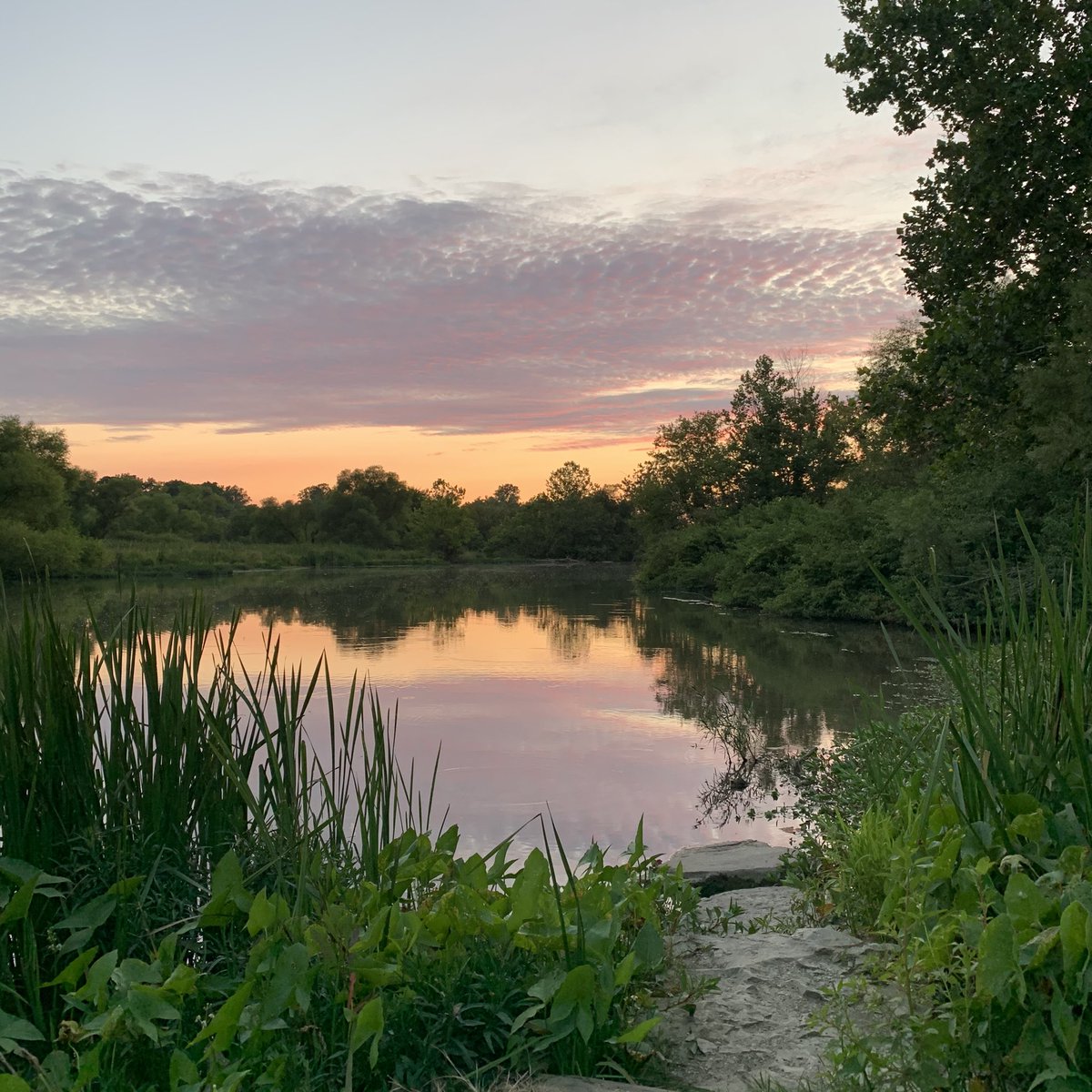 AnneMarieWTHR's tweet photo. Friday feels! 
Such a beautiful night!
Hope you have a wonderful weekend! 
#walkfinds #TeamTiernon #TGIF https://t.co/iZjlgIMWG6
