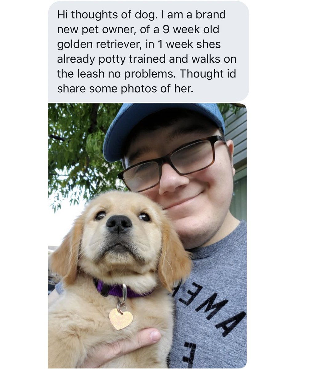 dogfather's tweet photo. sometimes people reach out wanting the dog from @dog_feelings to be proud of their dog and it’s very wholesome https://t.co/rbxPkyPFbB