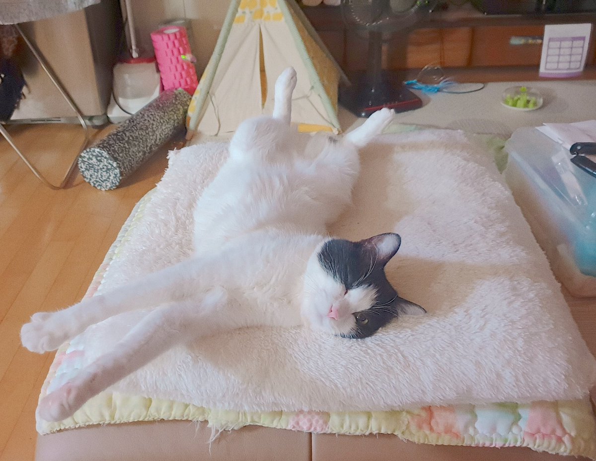 저쪽 신사분께서 보냈습니다
                                                                           😉