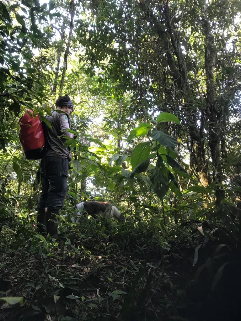 Matheus Moroti tweet media