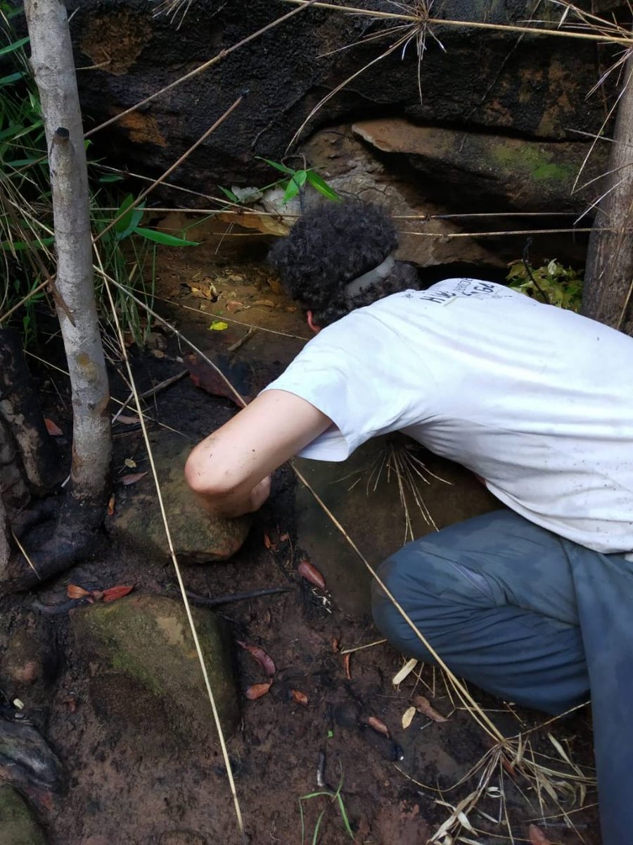 Matheus Moroti tweet media