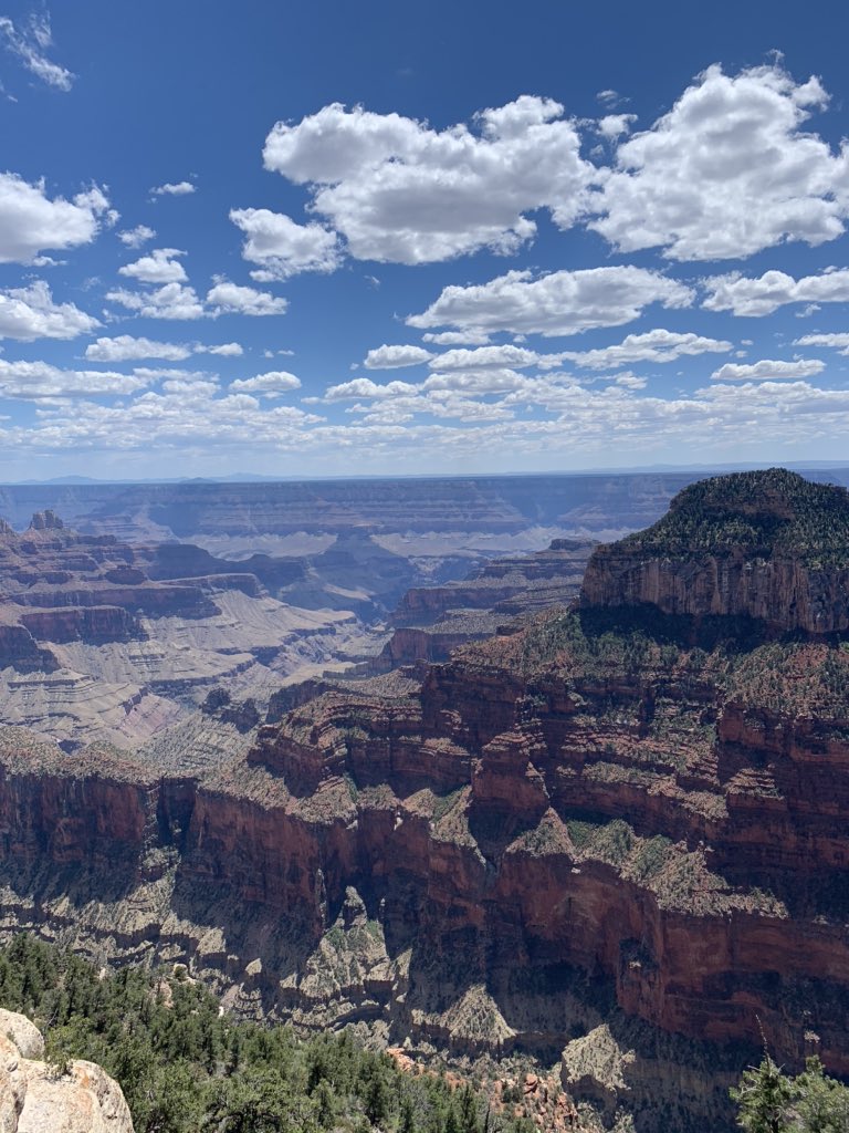 meagiee's tweet photo. Let me bless your eyes 🌎🤩 https://t.co/E2NQK1gAsx