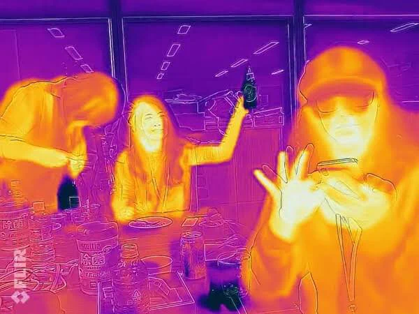 @deadpootarou トトロから見た人間の様子 