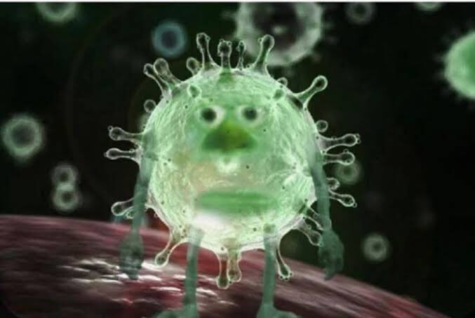 techiss's tweet photo. El coronavirus al ver que tienen más miedo de una pinche muñequita que de él #Anabellescaped https://t.co/2CdSprdHvW