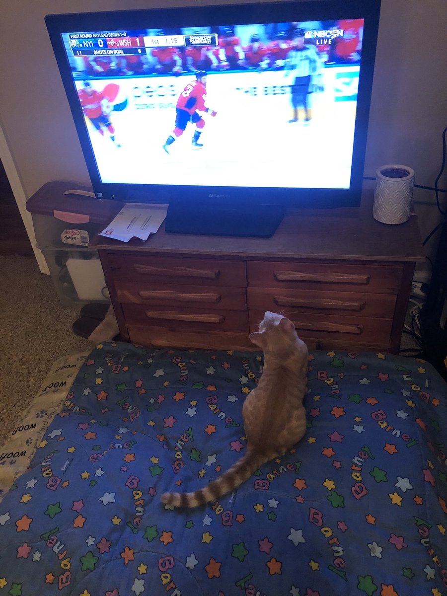 CindySimpsonCAE's tweet photo. Our kitty loves the #Caps and is hoping Ovi gets 2 more goals!! https://t.co/jjmuhcv0Ya