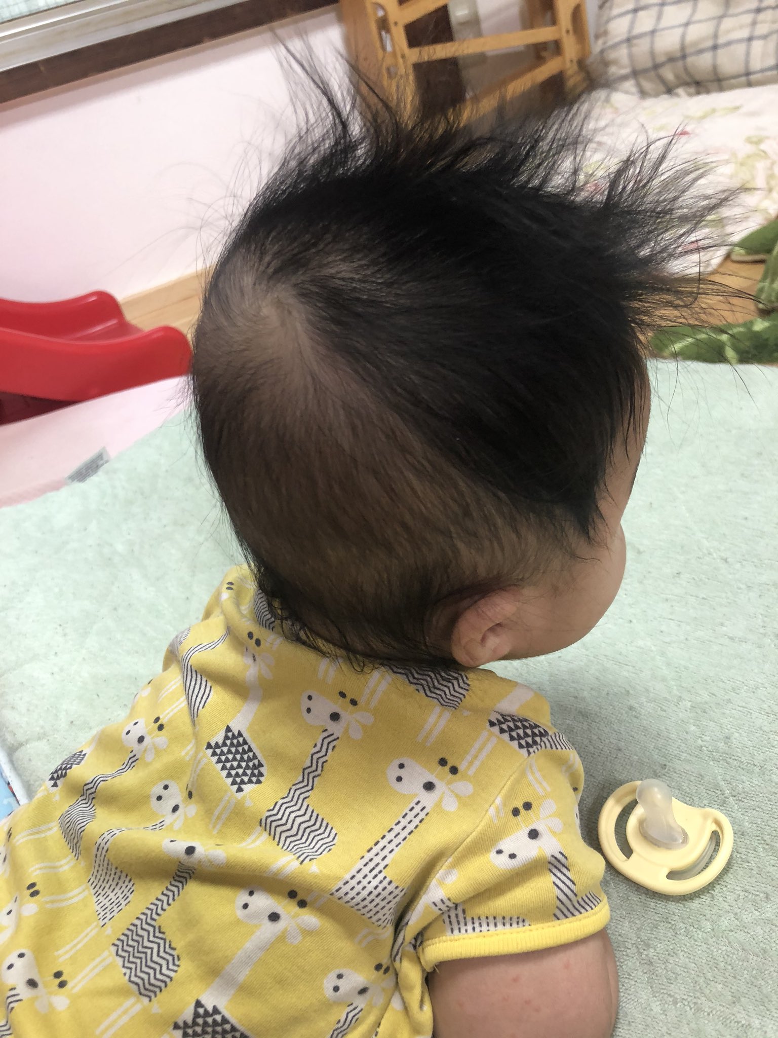 Twitter 上的 あっきー 煮込みや まる ねんねの時期特有の 赤ちゃんはげ 登志ちゃんは髪が多いから ツーブロックみたいになってる笑笑 営業今日土曜日まで 17時から22時です 木曜まで連休します T Co Iy9gxcwywu Twitter