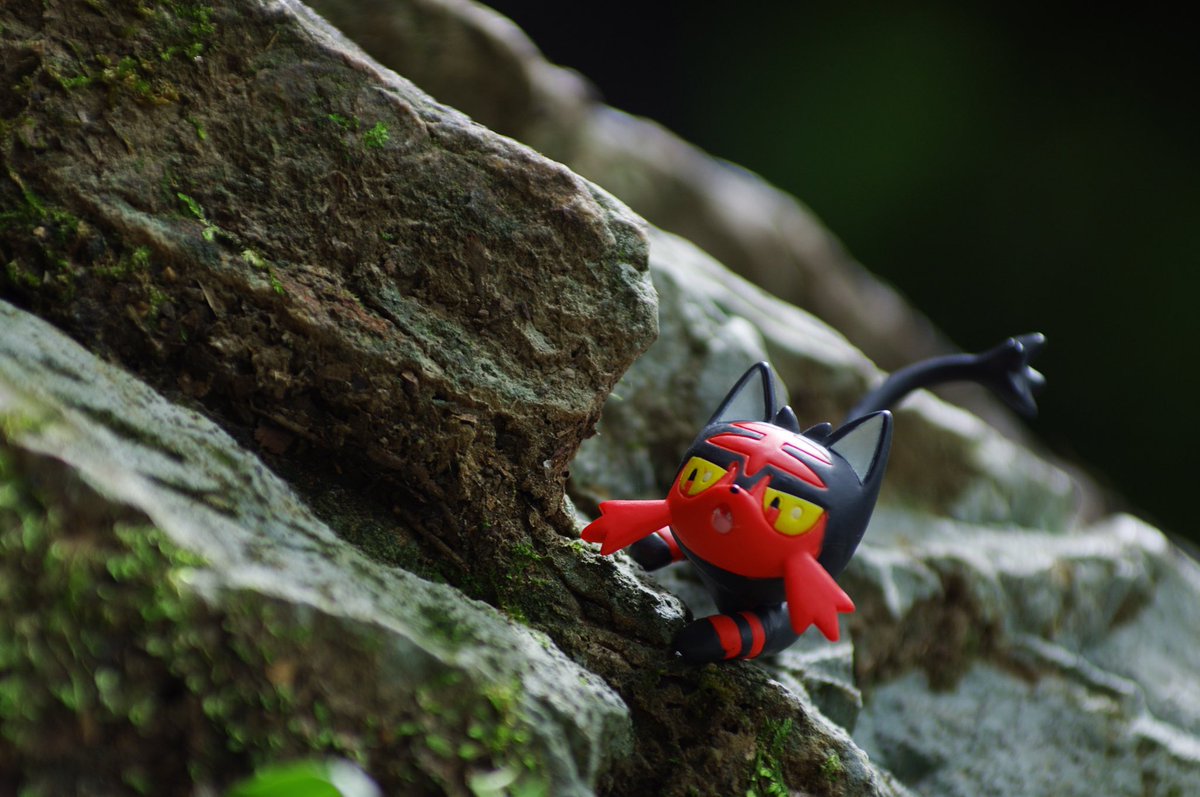 ニャビー Twitter Search