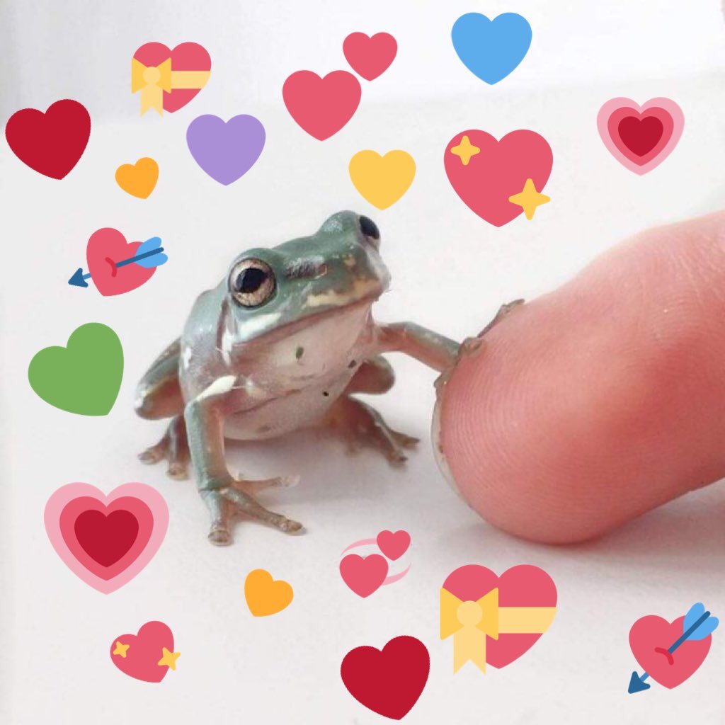 Bolin is so cute I just want to hug him