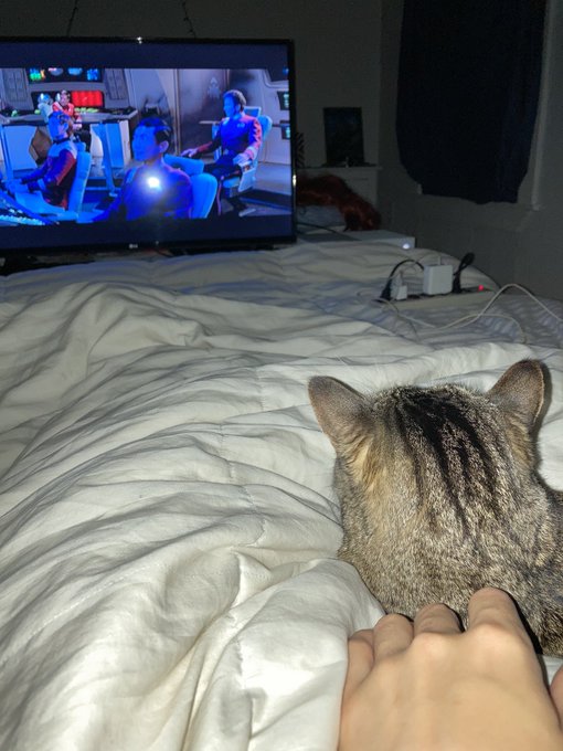 Our cat ❤️s Star Trek lol https://t.co/WHy9oDjaxN<a href="/tag/ripriley"class="tags"><span>#ripriley</span></a><a href="/tag/powertripforever"class="tags"><span>#powertripforever</span></a>
