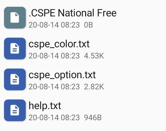 MaxJiJava's tweet image. Now, players can change the color tone and fine-tuning of CSPE by themselves.Try to create a CSPE with your own style!