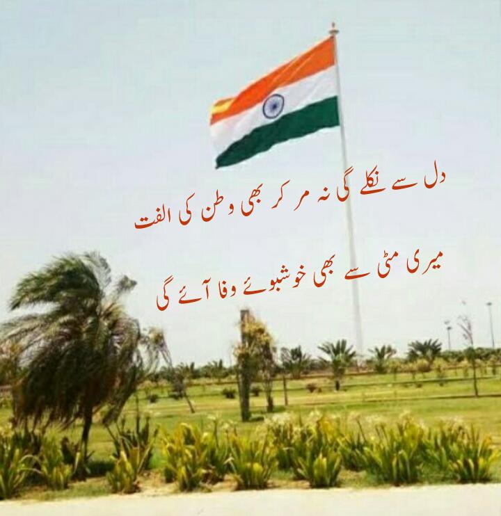 AijazQasmi786's tweet photo. Happy independence day https://t.co/IG2FBeDQPv