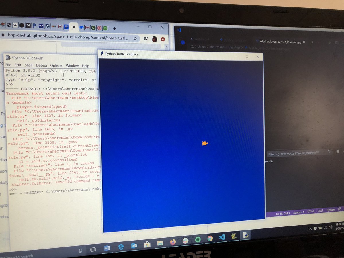 lylyee's tweet image. I have a turtle on a navy background running across the screen. First step.
#virtualcodingparty @shecodesaus