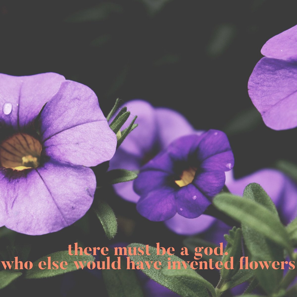 Designed in <a href="/WordSwagApp/">Word Swag App</a>. #WordSwagApp