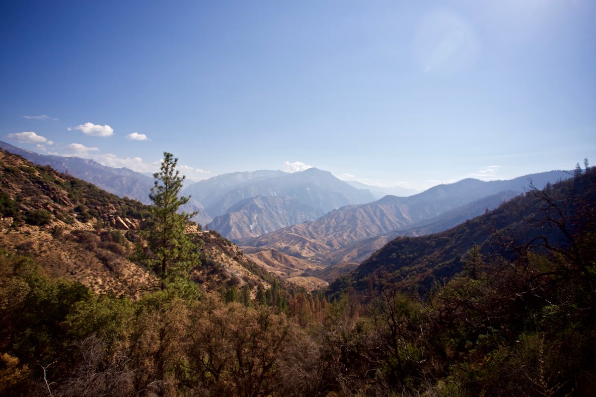 I went to all but one of the nine  @NatlParkService parks in CA, including  @PinnaclesNPS (at the time the 59th and newest NP).  @SequoiaKingsNPS were real highlights of the trip for me (pics attached). https://kmagnuson.com/blog/kings-canyon-sequoia-national-parks-fall-2016