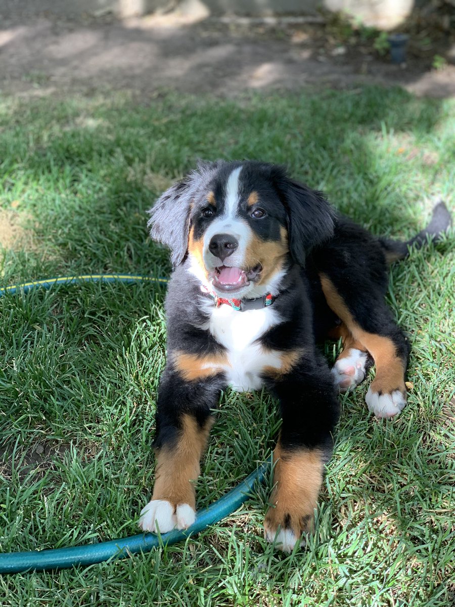 charlotte tweet media