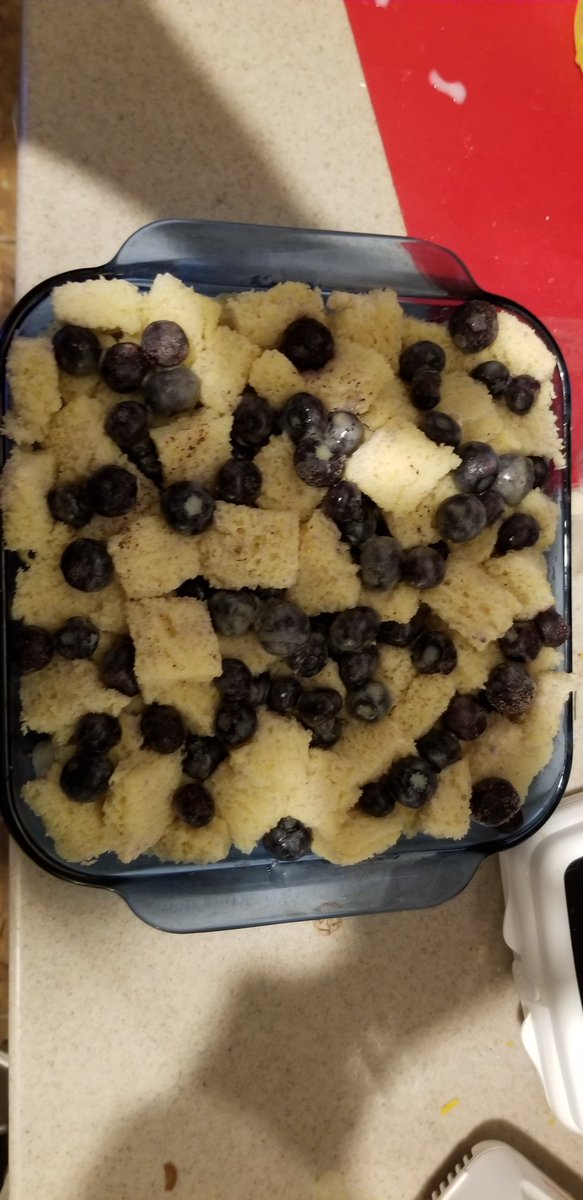 2ndRevision's tweet photo. The great blueberry breakfast experiment! https://t.co/yGP92xCTIh
