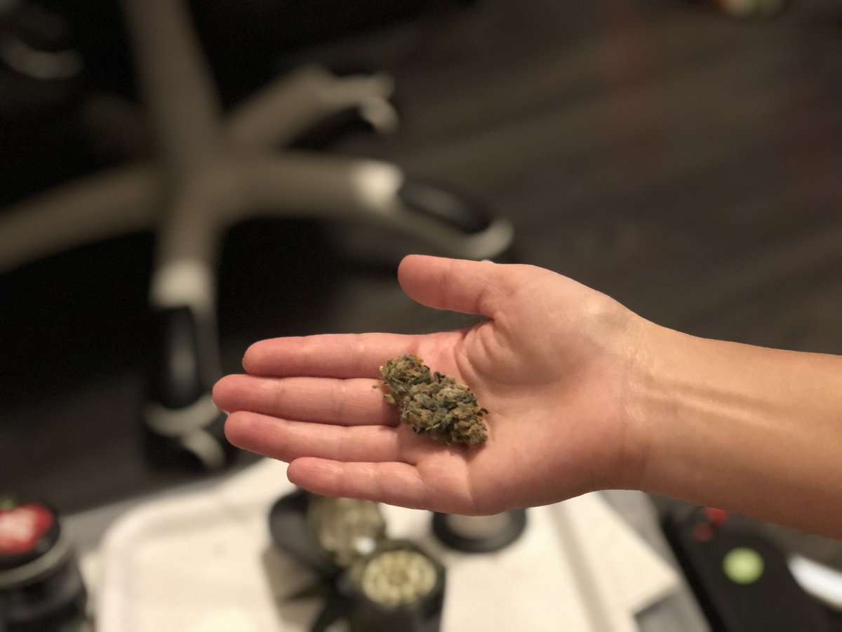 drkphoenix12's tweet photo. Big nug. SUPERIOR grower has not let us down once, their strains are WONDERFUL. #garlicsherbert #medical #420Friendly #CannabisCommunity #superior #superiorgrower #lasvegas #lasvegascannabis https://t.co/DfDfSFcgCV
