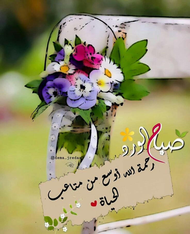 اللهم إجعل هذا الصباح خيراً لِكُل قلب أودع أمانيهُ عندك وينتظرُ الفرح منك وحدك ..

#صباح_الخير 🌸