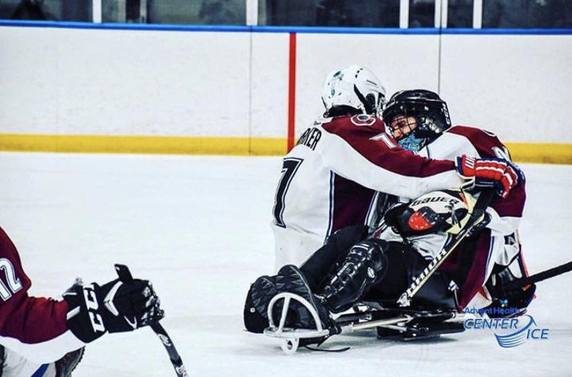 Colorado Avs Sled tweet media